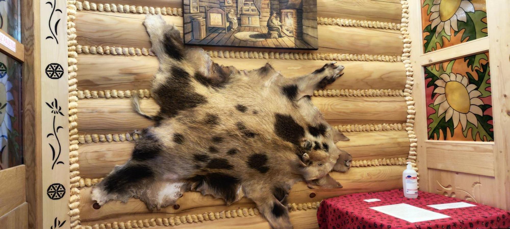 Chata Goralska I Pokoje Goscinne Ciechocinek Bagian luar foto
